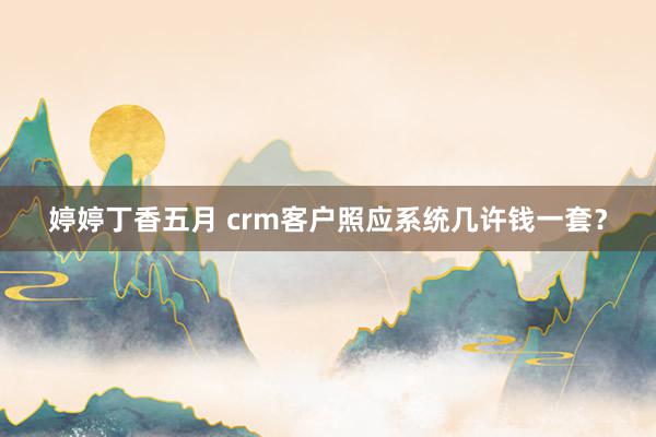 婷婷丁香五月 crm客户照应系统几许钱一套？