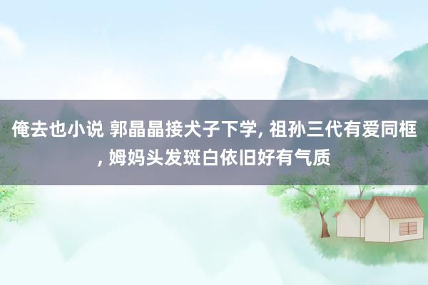 俺去也小说 郭晶晶接犬子下学, 祖孙三代有爱同框, 姆妈头发斑白依旧好有气质