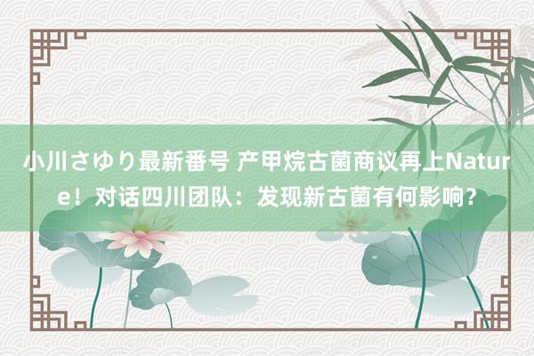 小川さゆり最新番号 产甲烷古菌商议再上Nature！对话四川团队：发现新古菌有何影响？