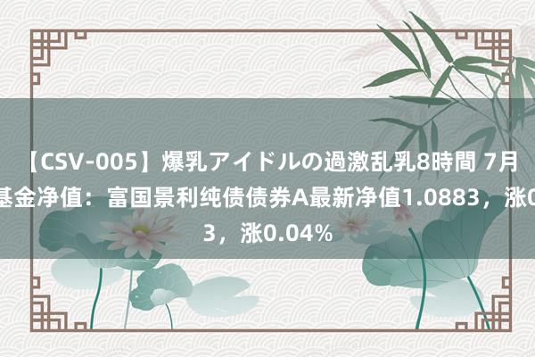 【CSV-005】爆乳アイドルの過激乱乳8時間 7月26日基金净值：富国景利纯债债券A最新净值1.0883，涨0.04%