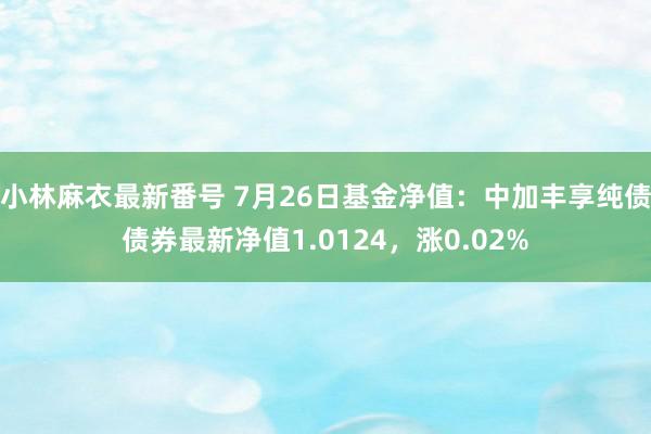 小林麻衣最新番号 7月26日基金净值：中加丰享纯债债券最新净值1.0124，涨0.02%