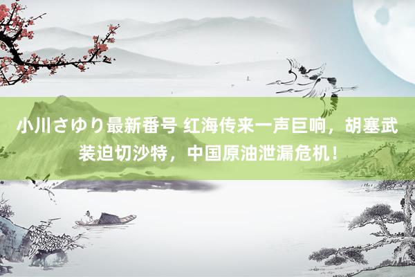 小川さゆり最新番号 红海传来一声巨响，胡塞武装迫切沙特，中国原油泄漏危机！