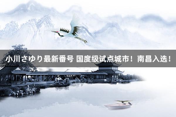 小川さゆり最新番号 国度级试点城市！南昌入选！