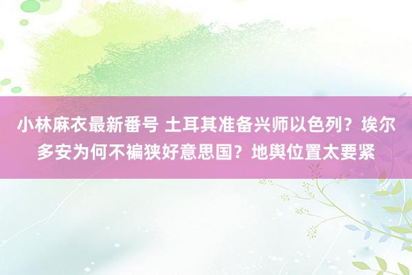 小林麻衣最新番号 土耳其准备兴师以色列？埃尔多安为何不褊狭好意思国？地舆位置太要紧