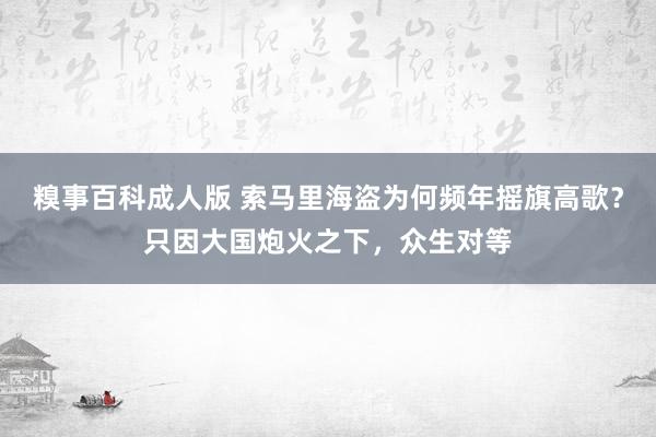 糗事百科成人版 索马里海盗为何频年摇旗高歌？只因大国炮火之下，众生对等