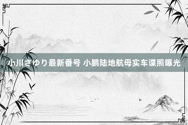 小川さゆり最新番号 小鹏陆地航母实车谍照曝光