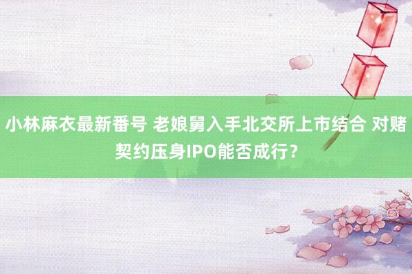 小林麻衣最新番号 老娘舅入手北交所上市结合 对赌契约压身IPO能否成行？