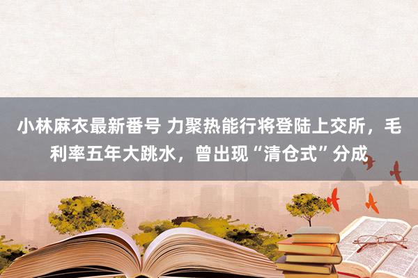 小林麻衣最新番号 力聚热能行将登陆上交所，毛利率五年大跳水，曾出现“清仓式”分成