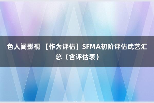 色人阁影视 【作为评估】SFMA初阶评估武艺汇总（含评估表）