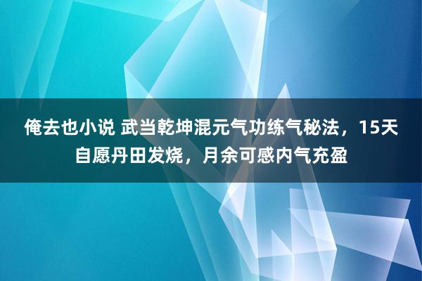 俺去也小说 武当乾坤混元气功练气秘法，15天自愿丹田发烧，月余可感内气充盈