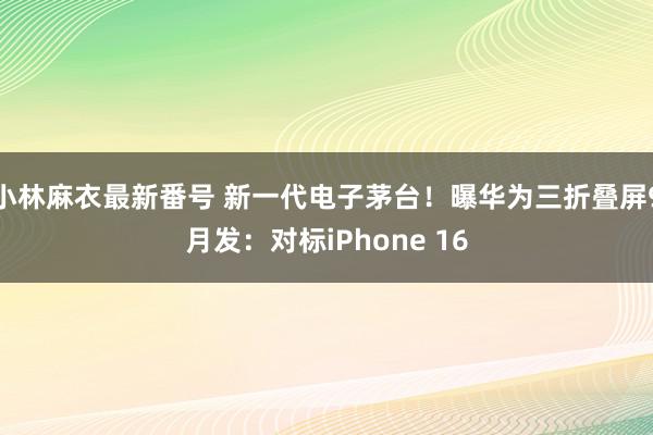 小林麻衣最新番号 新一代电子茅台！曝华为三折叠屏9月发：对标iPhone 16