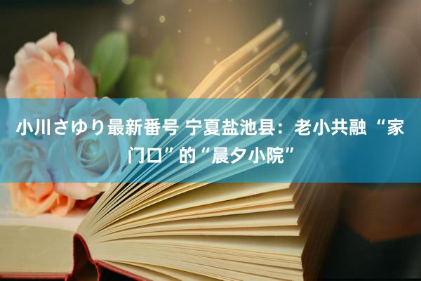 小川さゆり最新番号 宁夏盐池县：老小共融 “家门口”的“晨夕小院”