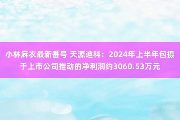 小林麻衣最新番号 天源迪科：2024年上半年包摄于上市公司推动的净利润约3060.53万元