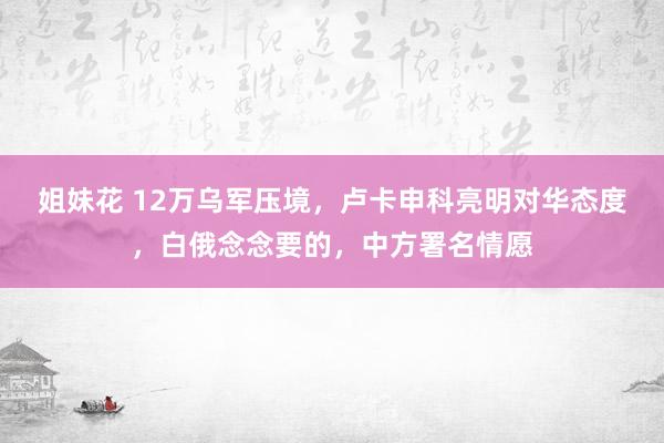 姐妹花 12万乌军压境，卢卡申科亮明对华态度，白俄念念要的，中方署名情愿